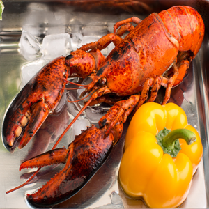 Cooked Boston Lobster (Whole)