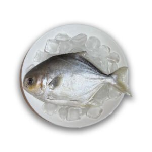 Golden Pomfret