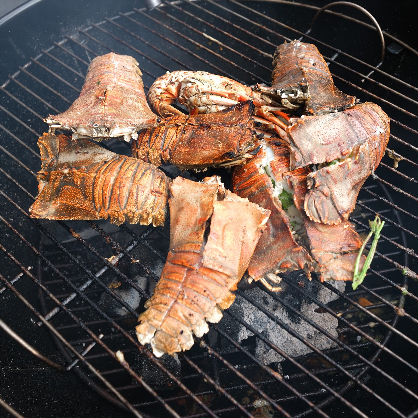 Wild Caught Slipper Lobster Value Pack